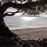 Apartman Pura Vida *