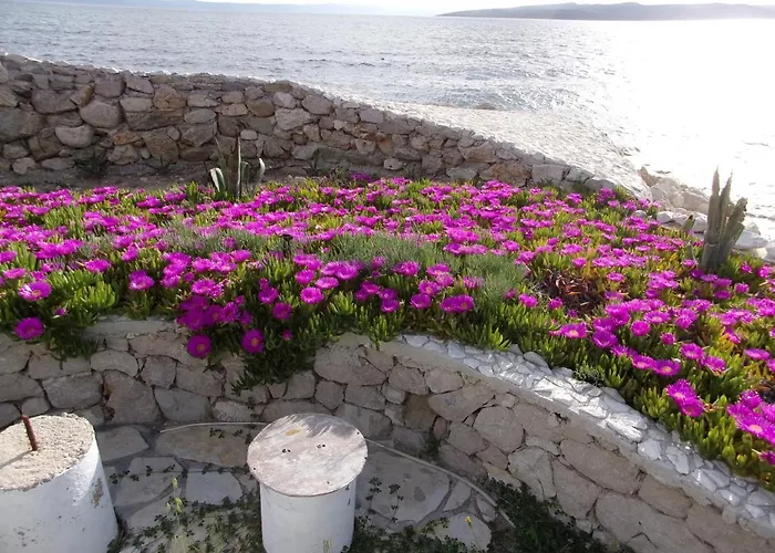 Apartamento Pura Vida