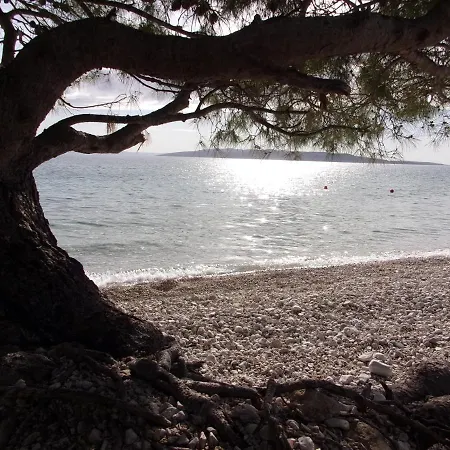 Apartman Pura Vida *