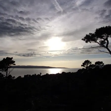 Pura Vida Apartamento